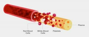 Anticoagulants