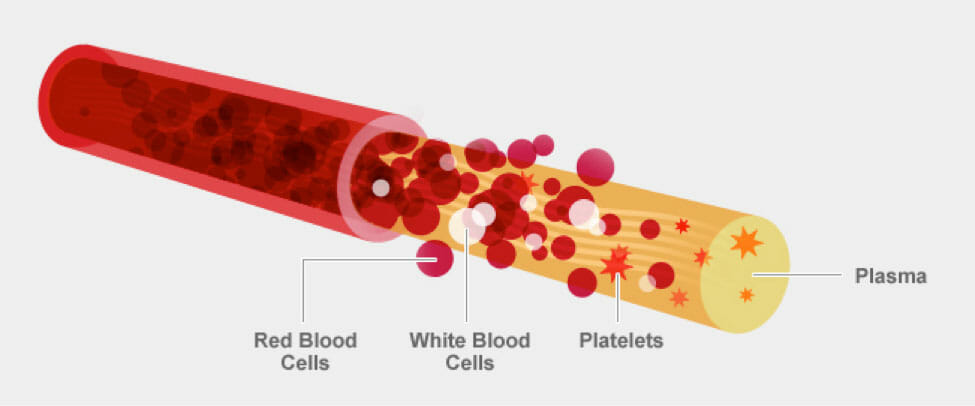 Anticoagulants