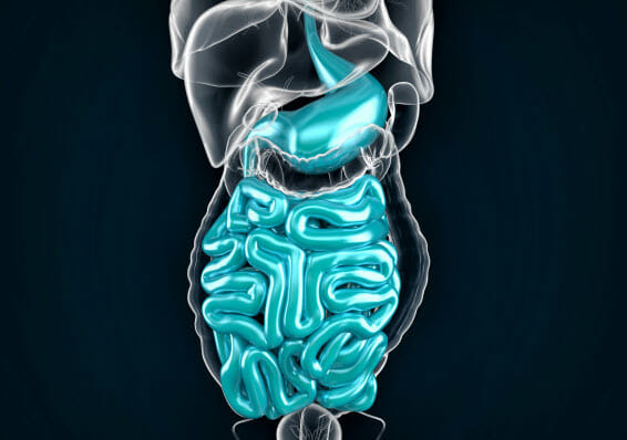 Bowel
